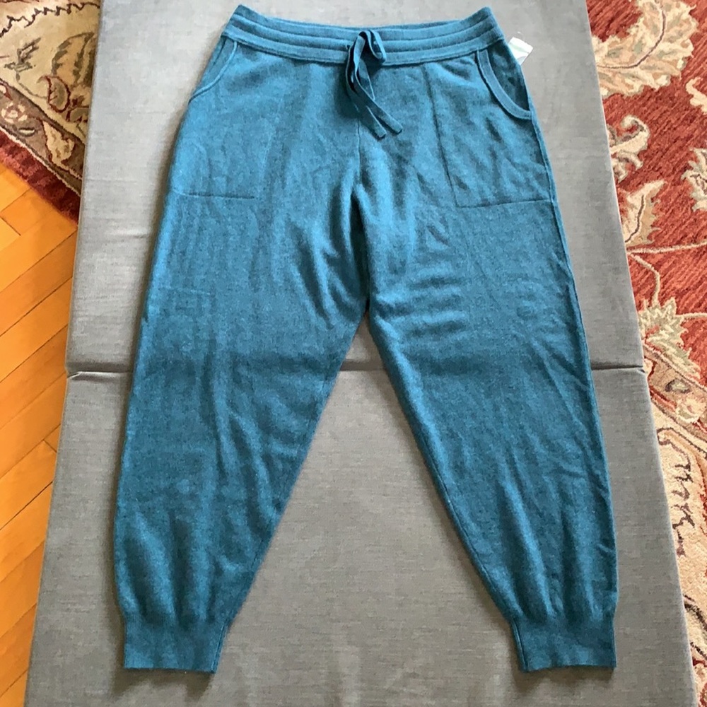 Anthropologie Emmeline Cashmere Joggers - Picture 8 of 9